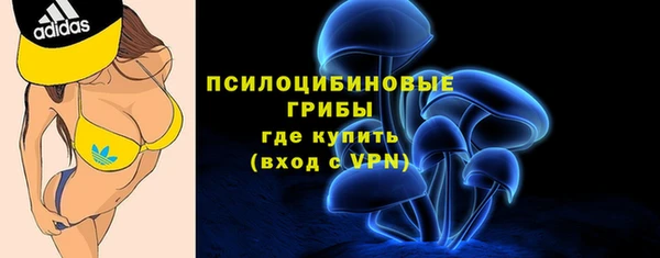 скорость Богородицк
