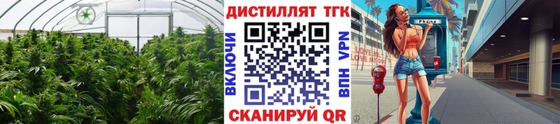 ТГК концентрат  купить закладку  Краснокаменск 