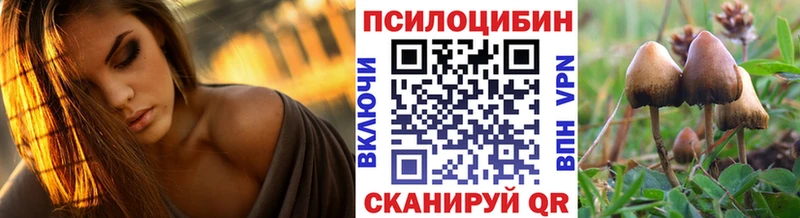 закладка  Краснокаменск  Галлюциногенные грибы MAGIC MUSHROOMS 